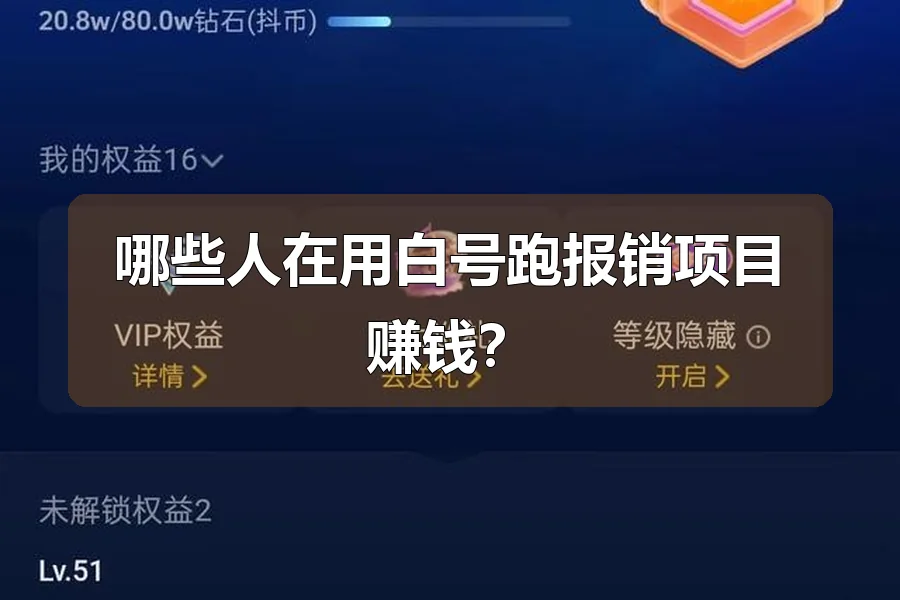 哪些人在用白号跑报销项目赚钱?